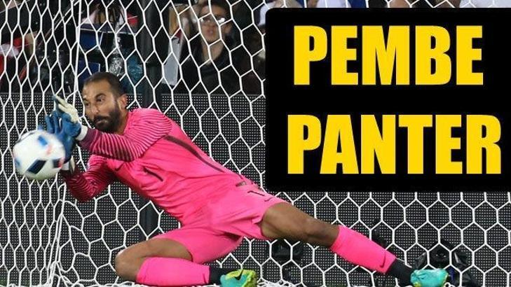 Pembe Panter!