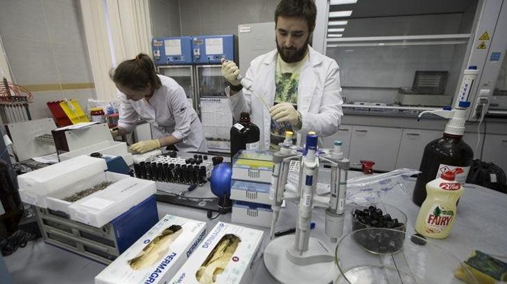 14 Rus sporcuda doping
