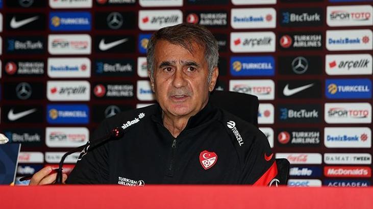 Şenol Güneş: Bedel ödenecek