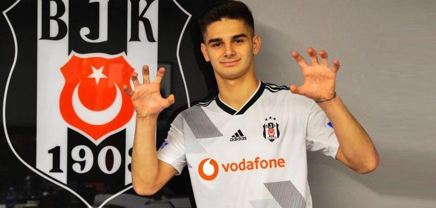 Beşiktaş taraftarı Ajdin Hasic'i istiyor