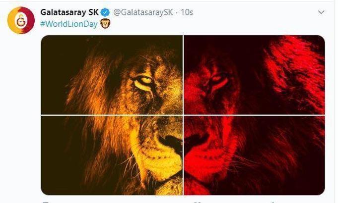 ‘Dünya Aslan Günü' mesajı