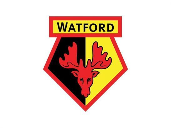 Watford'da bir futbolcunun coronavirüs testi pozitif çıktı