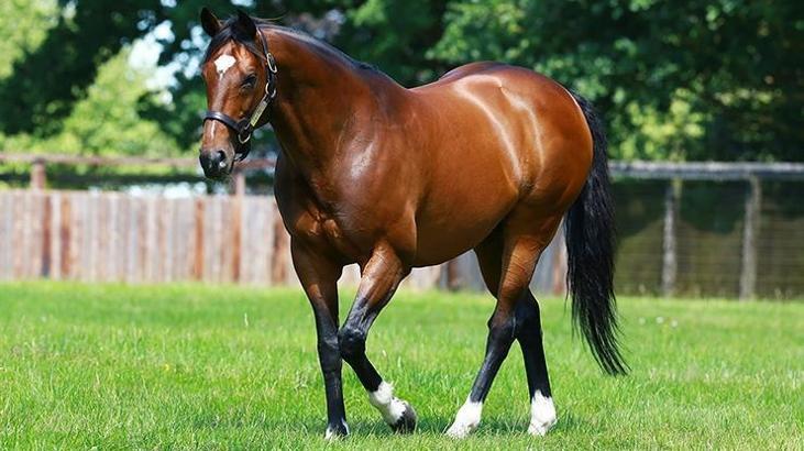 Frankel'in değeri 110 milyon euro olarak açıklandı!
