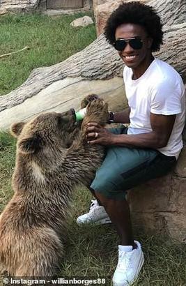 İşte Willian'ın ayı sevgisi
