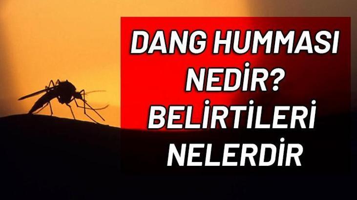 Dang humması virüsü nedir, Dang humması belirtileri nelerdir?