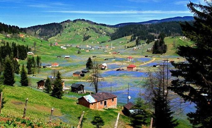 Corona virüs nedeniyle 'Mor Yayla'ya ziyaretçi yasağı
