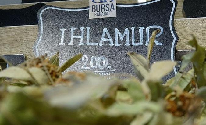 Ihlamur, soğuk algınlığı semptomlarını azaltır