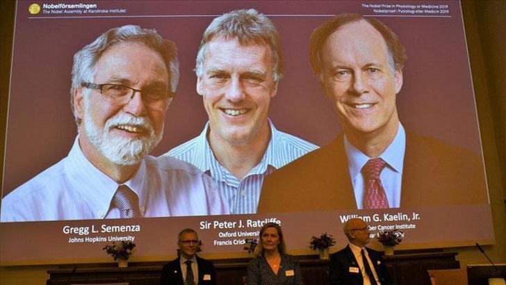2019 Nobel Tıp Ödülü'nü kimler kazandı?