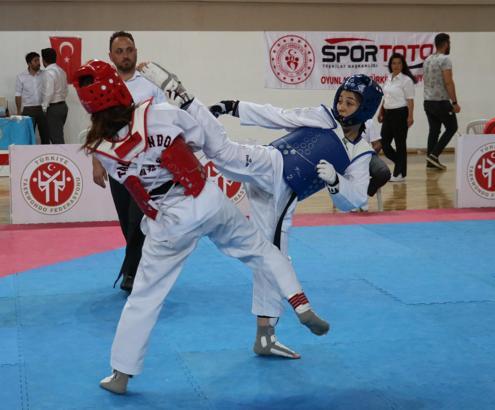 Ümitler Türkiye Taekwondo Şampiyonası Sivas'da başladı
