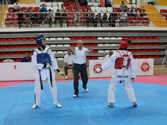 Türkiye Tekvando Şampiyonası Sivas'ta başladı