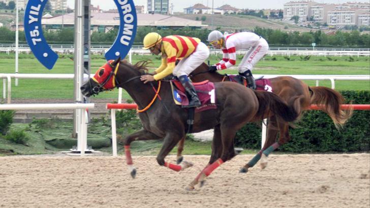 Milyoner atların savaşı Fanatik Hipodrom'da