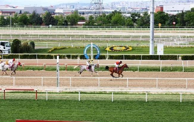 Nilüfer Belediye Başkanlığı Koşusu Çelikkalkan'ın