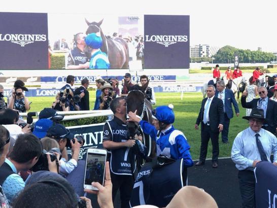 Şampiyon kısrak WINX kazanarak veda etti