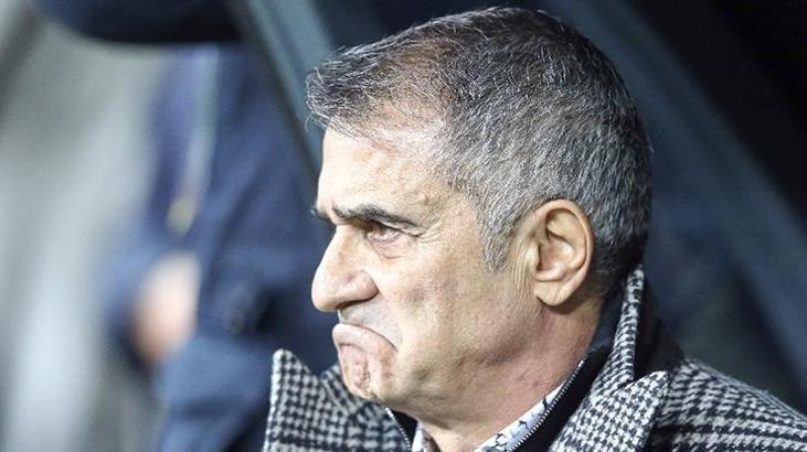 Şenol Güneş'ten Milli Takım açıklaması