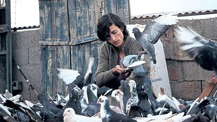 Güvercin uçuşu