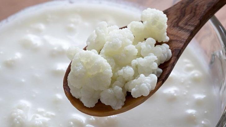 Kefir Mayası Nasıl Saklanır? Evde Kefir Nasıl Yapılır? Kefir Yapma İpuçları