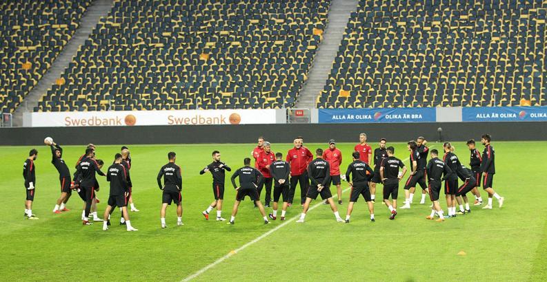 A Milli Futbol Takımı, İsveç maçına hazır