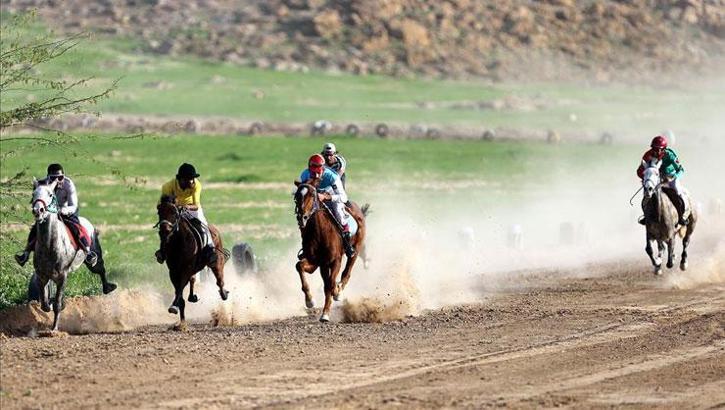 Bingöl'de at yarışları yapıldı