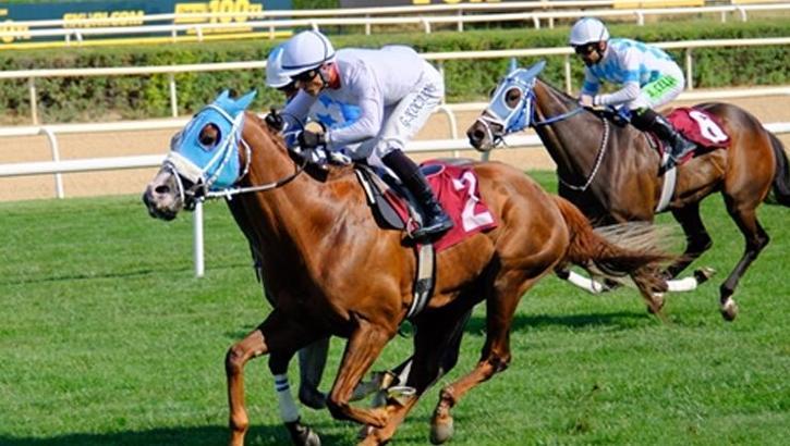 Türkiye Bedensel Engelliler Spor Federasyonu Koşusu’nu The King Siayer kazandı