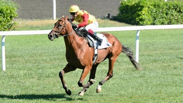 Mimar Sinan Koşusu’nda zafere Brave Jumper ulaştı