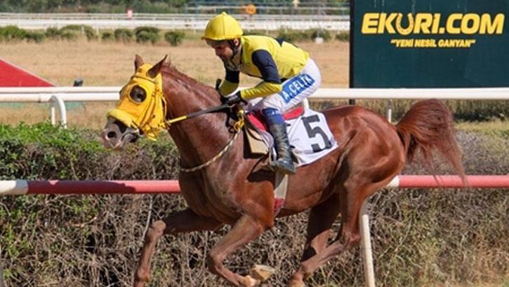 Sultansuyu Tarım İşletmesi Koşusu’nda zafere Kahramanoğlu ulaştı