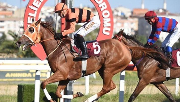 Serdar Kemal Özçolak Koşusu’nda kazanan Shinny oldu