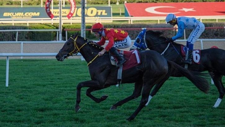 Eskişehir Sanayi Odası Koşusu’nu Aimus Liberatus kazandı