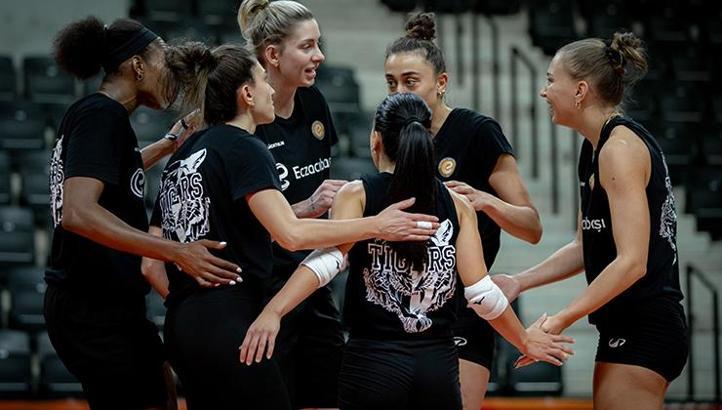 Eczacıbaşı Dynavit, Şampiyonlar Ligi sahnesinde