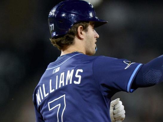 Where Do the Tampa Bay Rays Play Baseball? Stadium Details