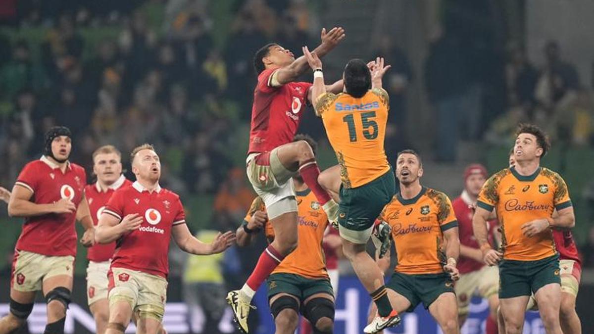 Wallabies Face Eden Park Reality Check in Bledisloe Cup Opener