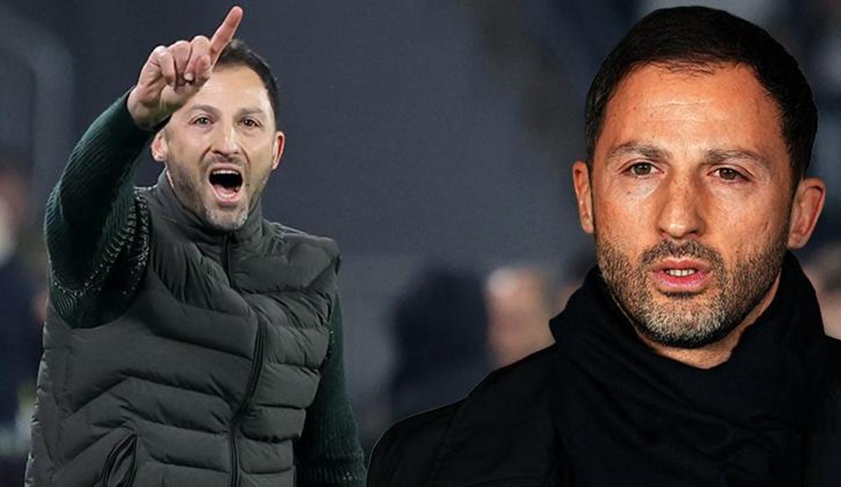 ÖZEL | Domenico Tedesco'ya Avrupa'dan sürpriz teklif! Fenerbahçe'nin hocasının yanıtı ortaya çıktı