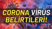 Corona Virüs belirtileri nelerdir? Corona virüs korunma yolları...