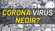 Corona virüs korunma yolları nelerdir? (Korona virüs nedir)