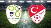 Slovenya - Türkiye maçı ne zaman, saat kaçta hangi kanalda?