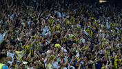 Fenerbahçe'den Austria Wien maçı öncesi taraftarlara uyarı