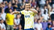 Dinamo Kiev, Fenerbahçe'li Serdar Dursun'u istiyor!