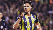 Fenerbahçe'de Miha Zajc planı