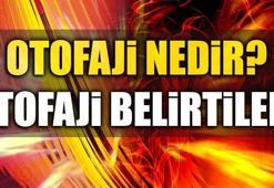 Otofaji nedir? Otofaji hastası ne yapar? Otofaji örnekleri nelerdir?