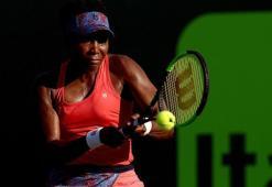 Venus Williams Miami Açık'ta çeyrek finalde