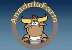 Anadolu Farm, 8 ayda 90 milyon TL toplamış