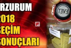 Erzurum seçim sonuçları 2018 - Erzurum oy oranları ve seçim sonucu