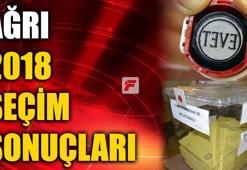 Ağrı seçim sonuçları 2018 - Ağrı oy oranları ve seçim sonucu
