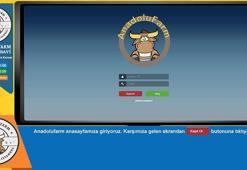 Anadolu Farm nedir? İsa Karademir nerede, kimdir?