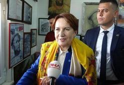 Akşener: Be hey cahiller, Atatürk'süz Çanakkale olur mu?