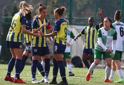 Fenerbahçe - Kocaeli BFK maç sonucu: 8-0