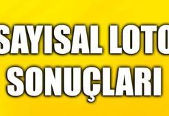 2 Haziran Sayısal Loto sonuçları | Sayısal Loto'da büyük ikramiye nereye çıktı?