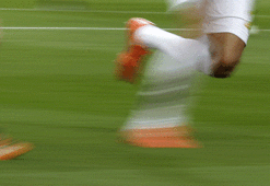 Futbolcuyu maçta köpek ısırdı!