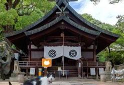 Japon işi Street View!