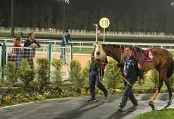 4. Özgecan Aslan Koşusu Adana'da yapıldı