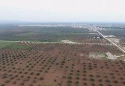 Harekatta Afrin'e 15 kilometre kaldı